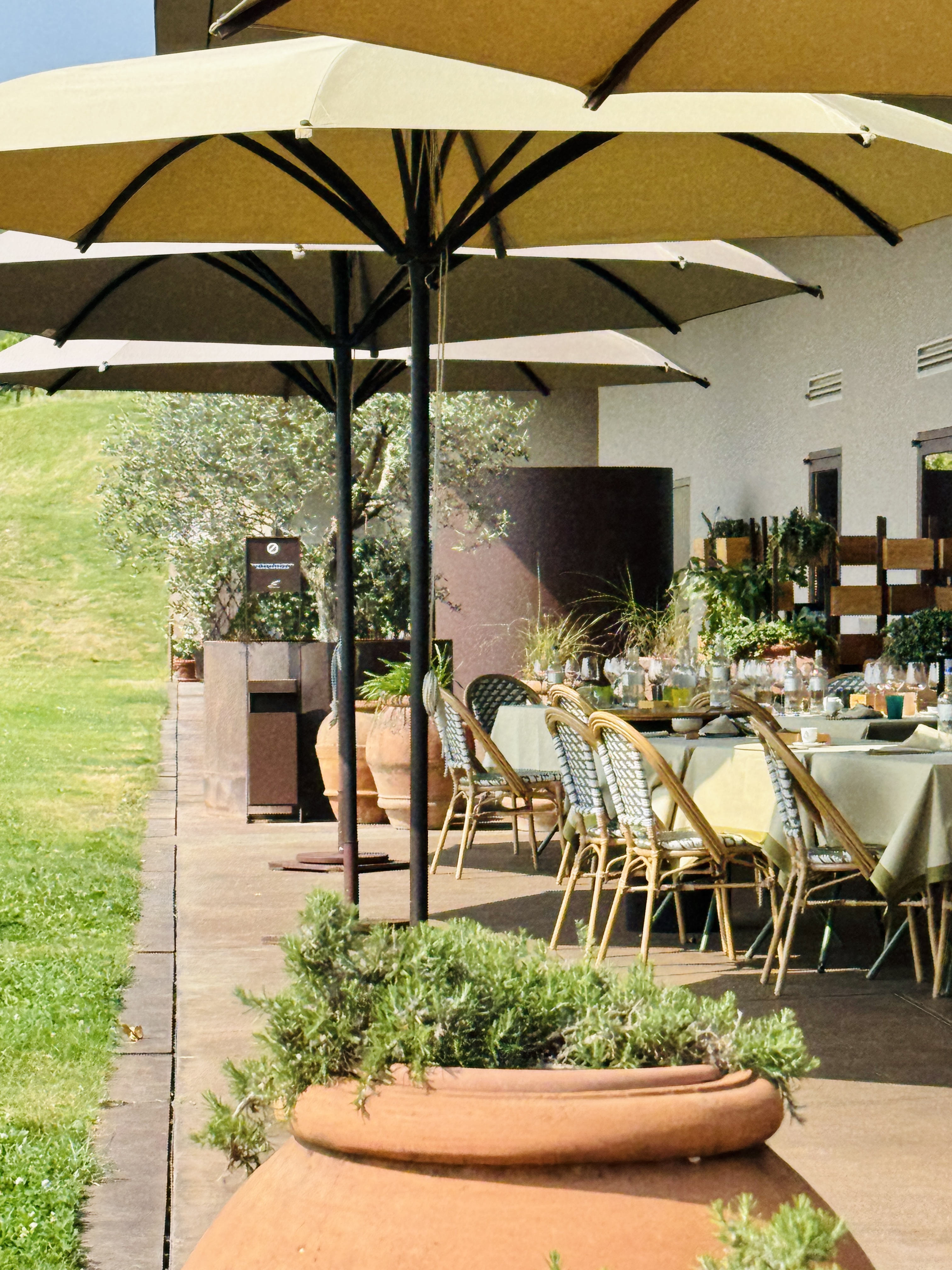 Antinori nel Chianti Classico winery