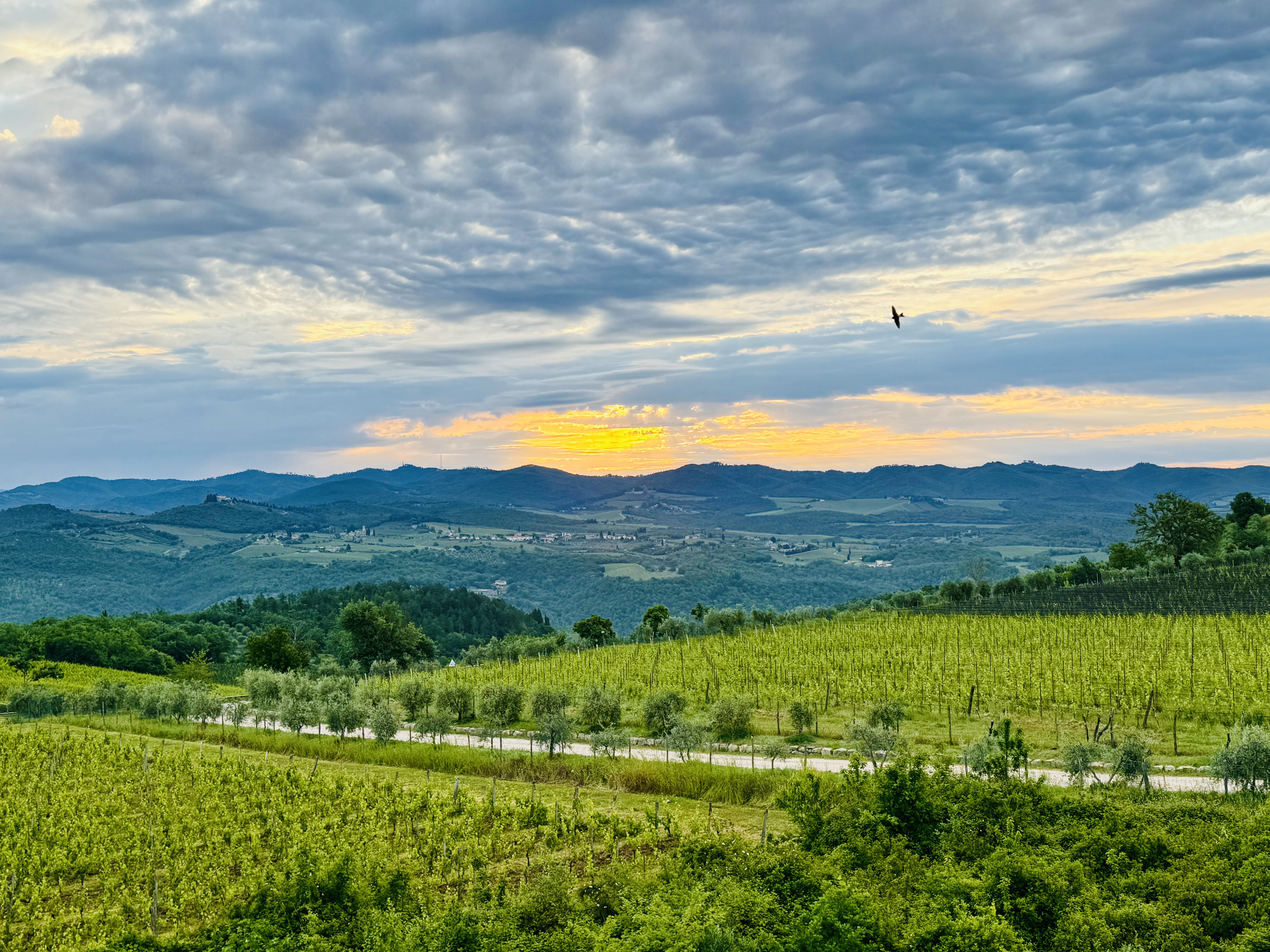 Chianti Classico sunset view from roof terrace