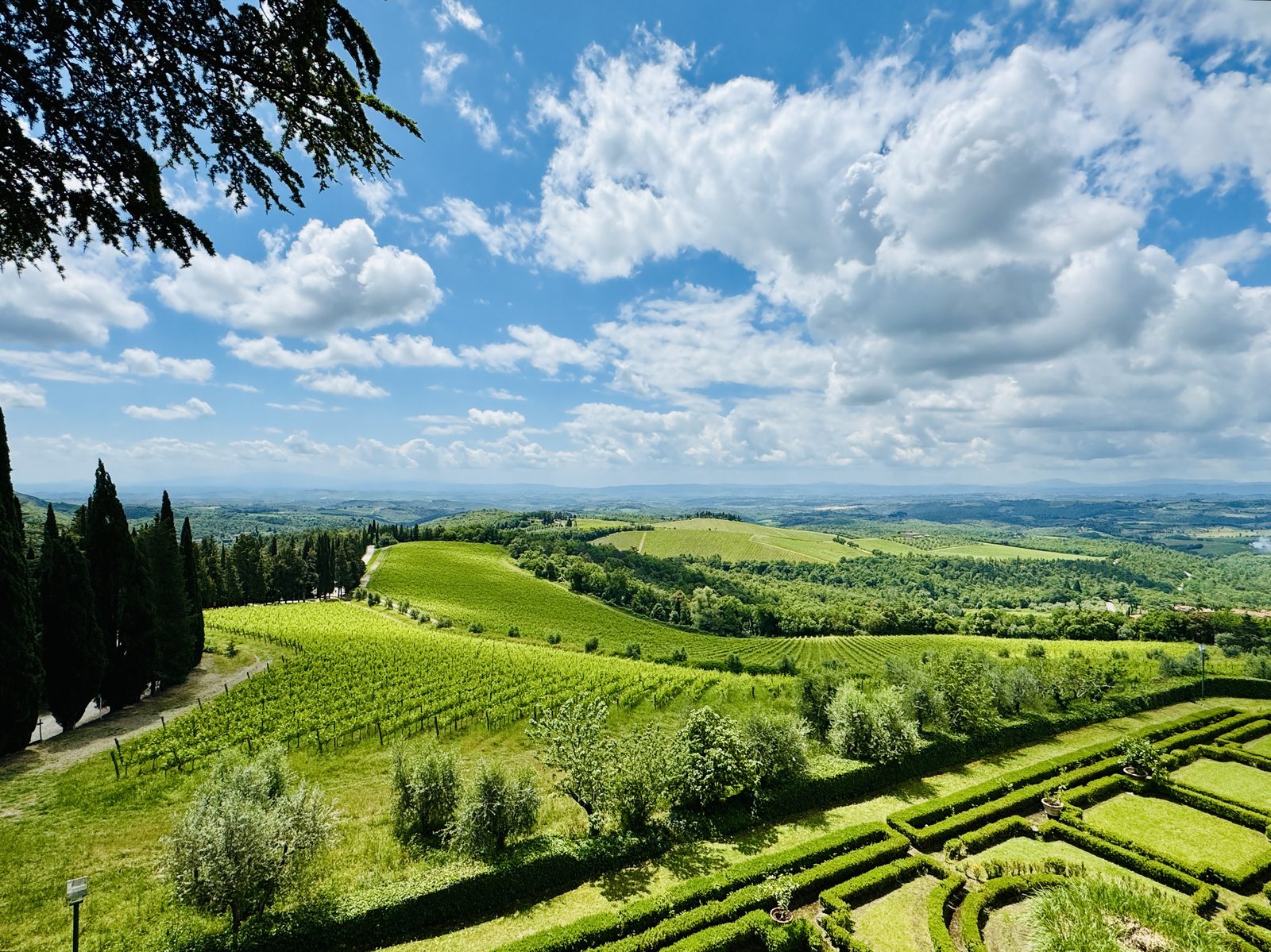 Castello di Brolio gardens and vineyards