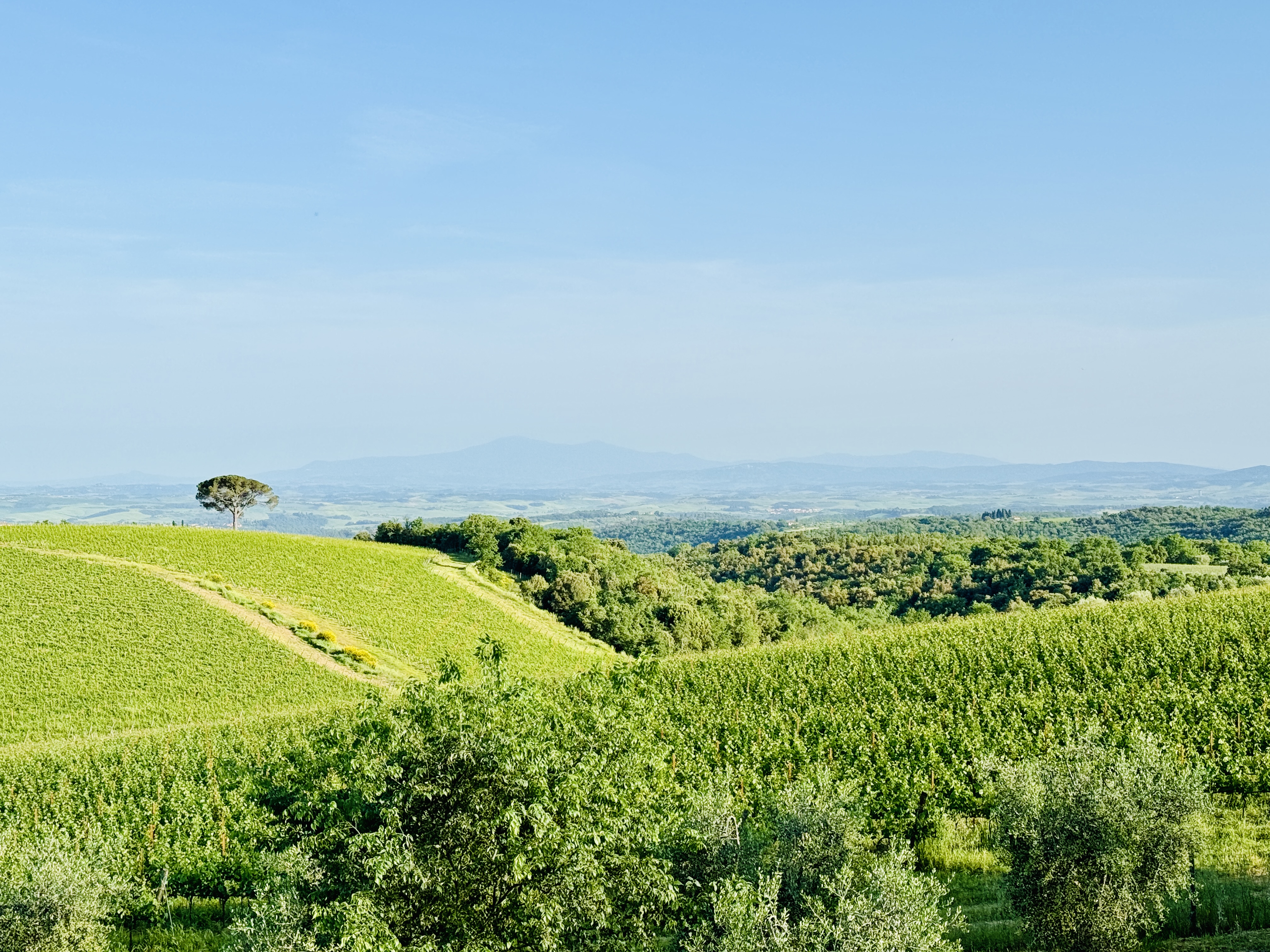 Chianti Classico view from villa
