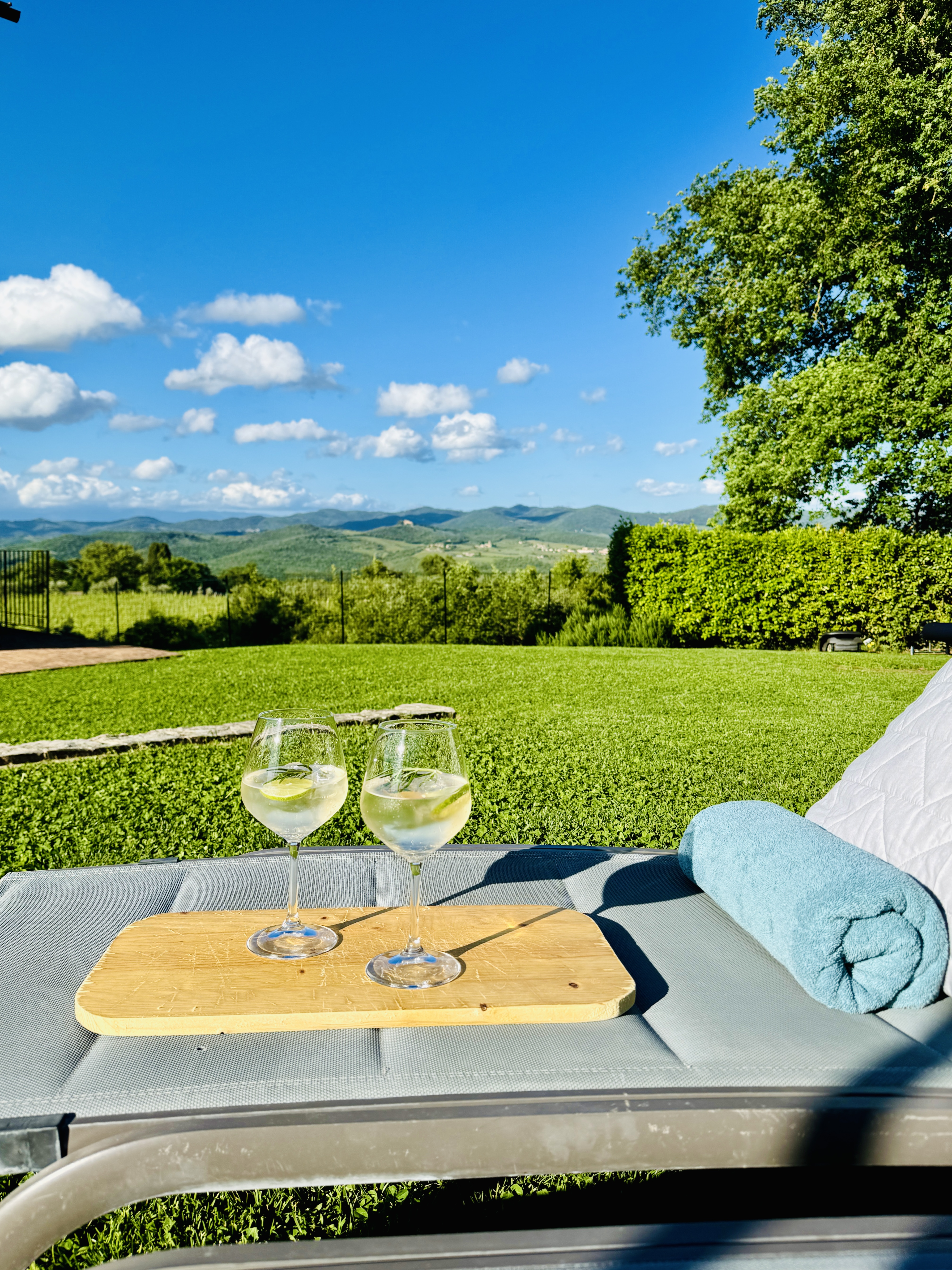 Garden aperitivo with Chianti Classico view