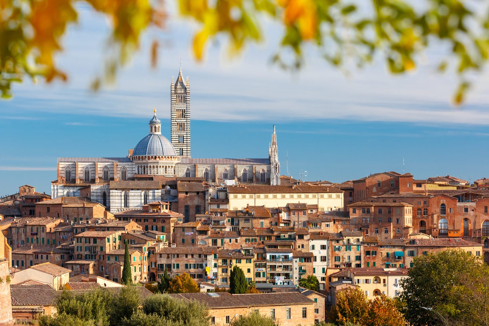 Siena Duomo and medieval skyline