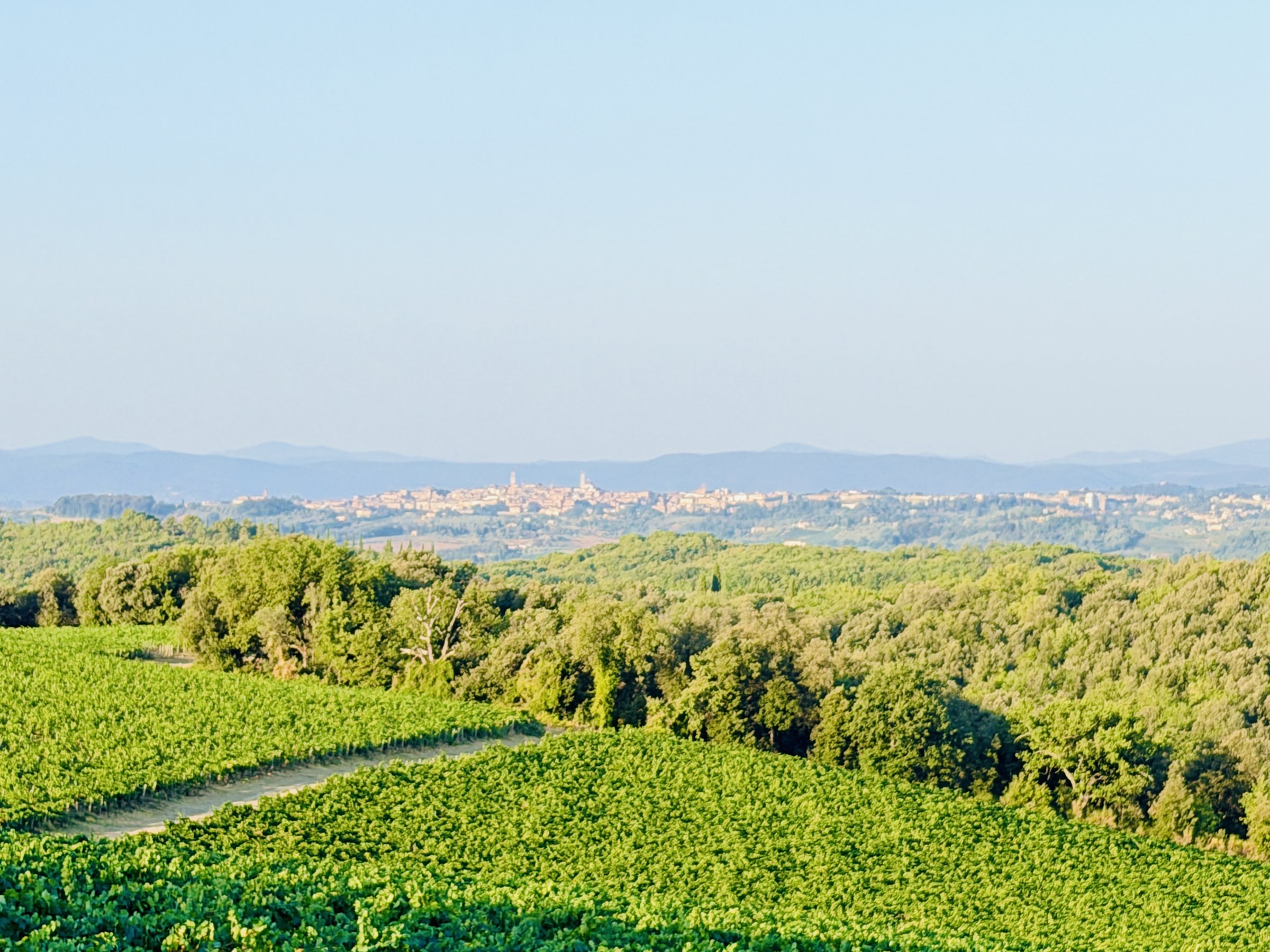 Siena skyline on the horizon, seen from Libertas Tuscan Hideaway across the Chianti vineyards