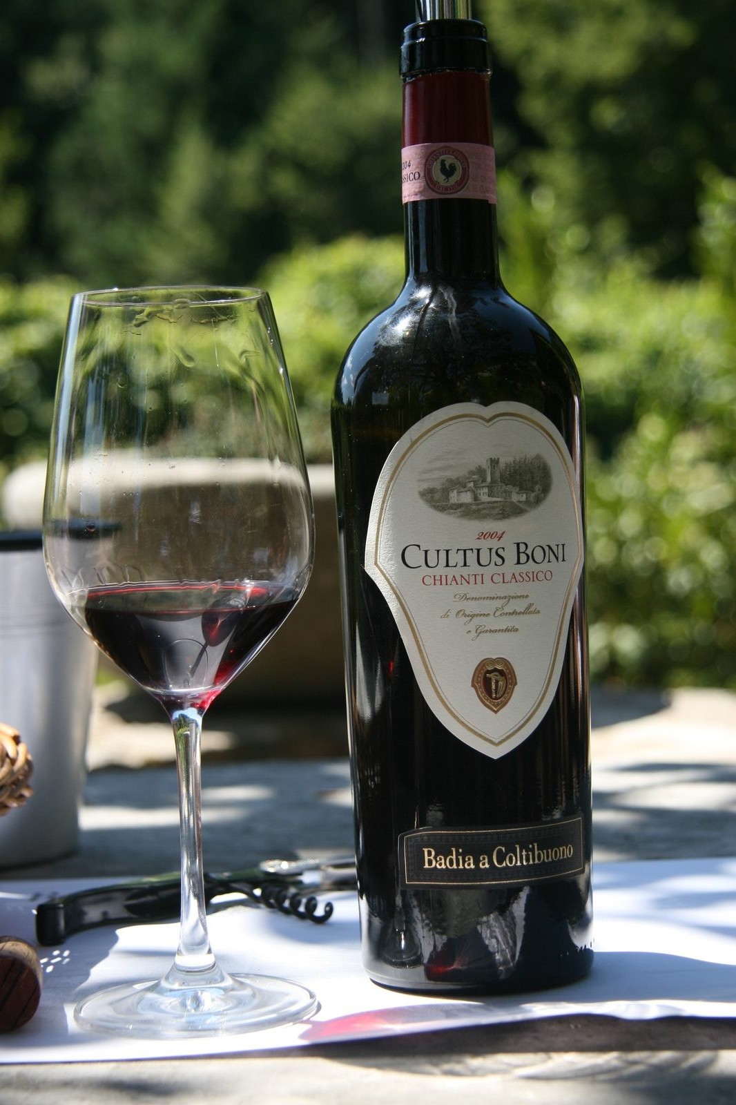 Badia a Coltibuono Chianti Classico wine
